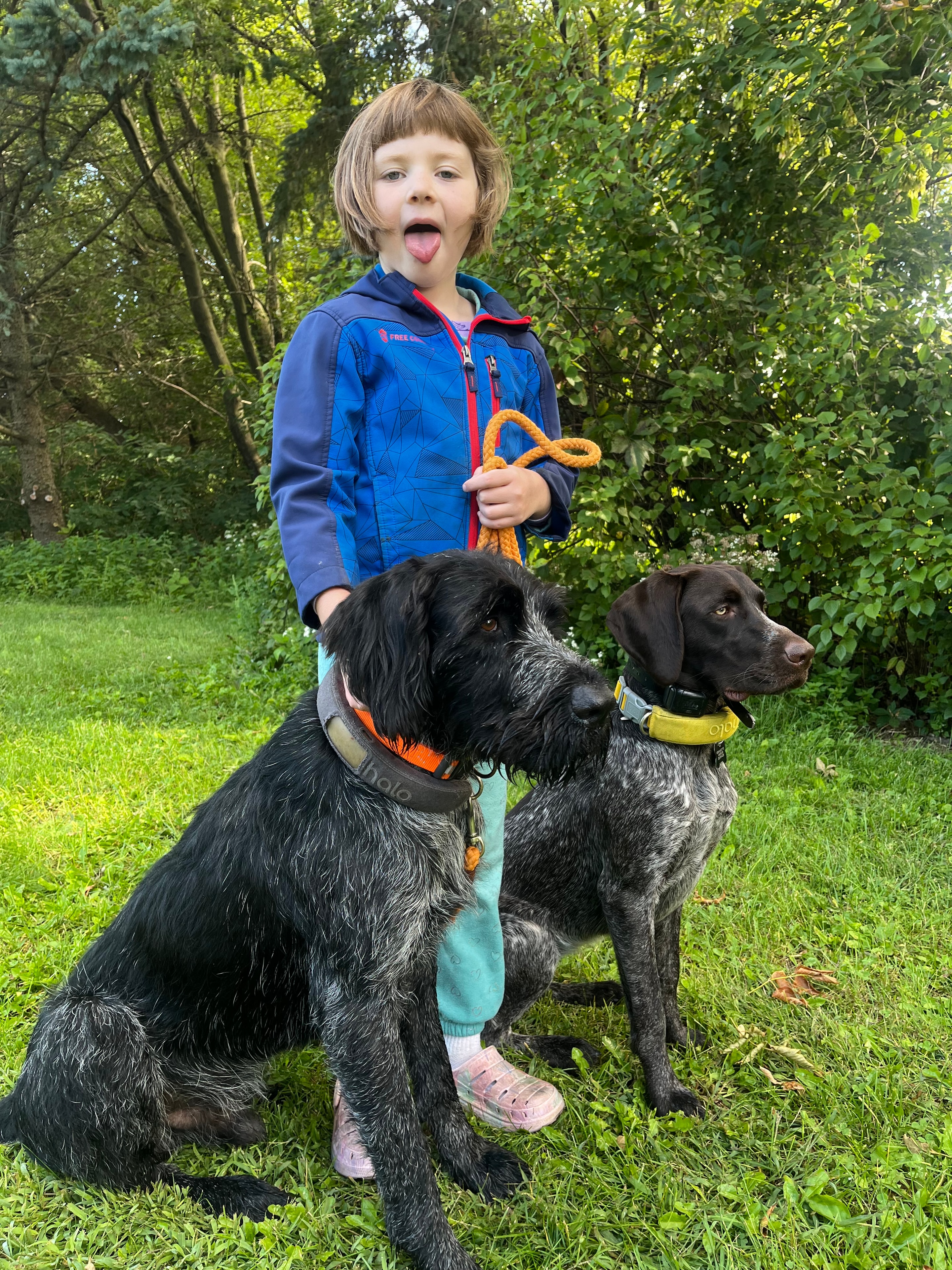 Dog training session outdoors