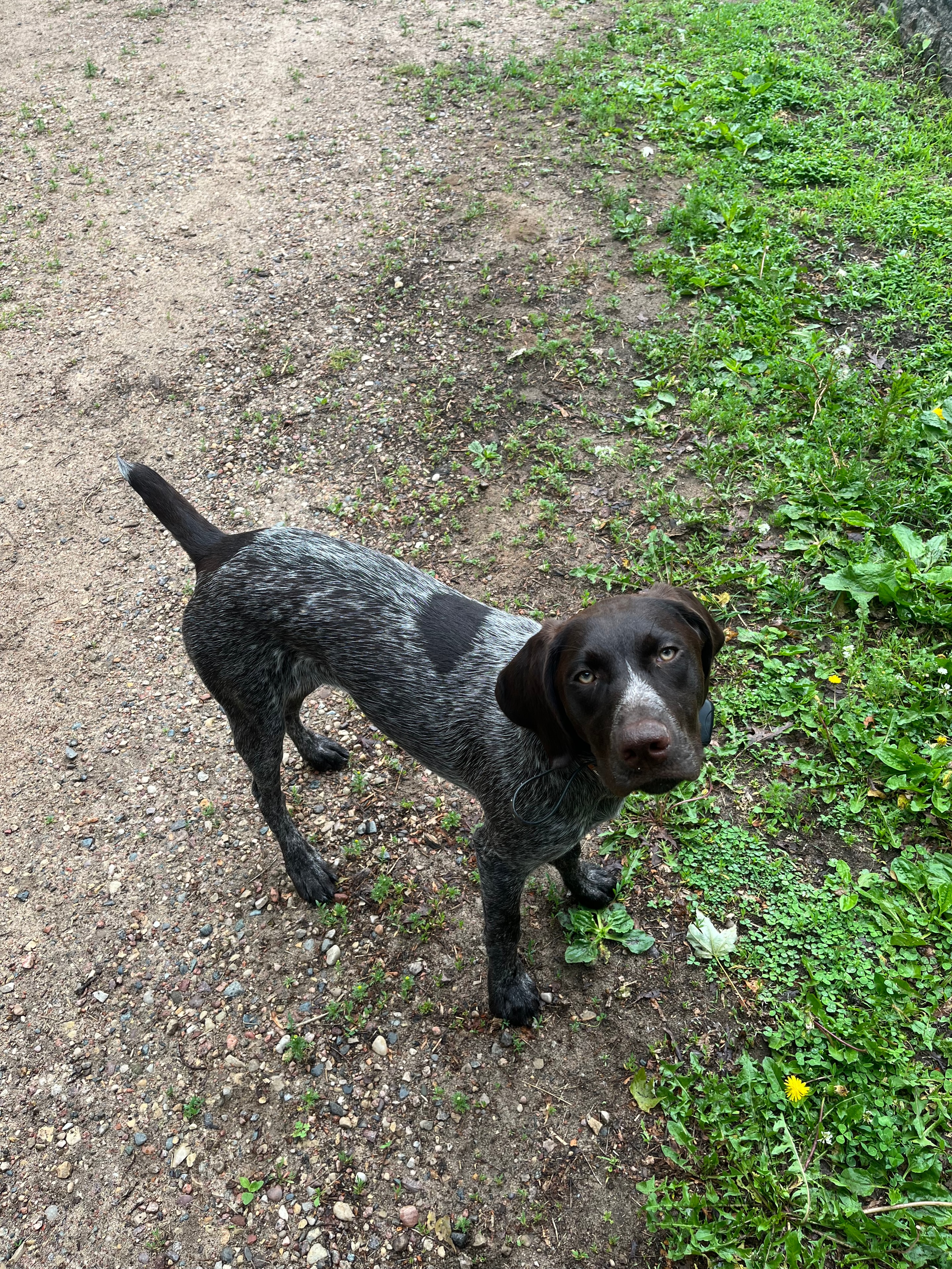 Ruby